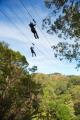 Maui Zip Line Tours